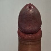 senior 54/88