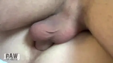 Baise sensuelle entre minets