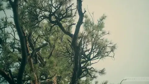 Trio entre amis au camping