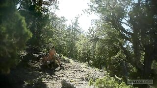 Randonneurs baisent en pleine forêt