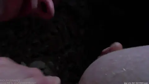 Un gros cadeau pour Leo le bâtard — Guillaume Wayne & Leo Rustine