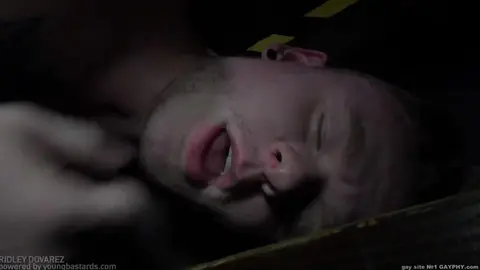 Un gros cadeau pour Leo le bâtard — Guillaume Wayne & Leo Rustine