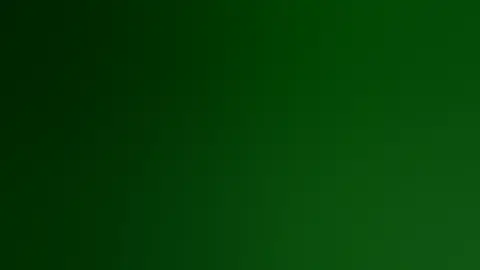 Road Trip, Vol. 12 – Lake Shasta