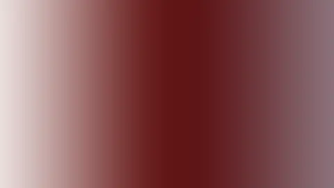 Minets nus sur TikTok (censurés sur la plateforme)