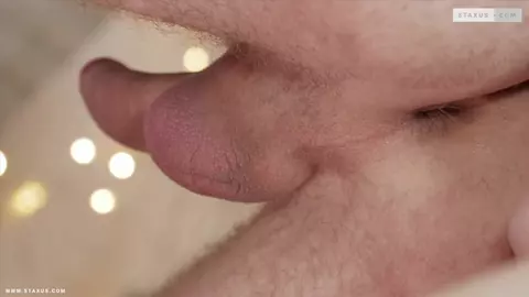 Premier rendez-vous — Scène 1 — Nick Fox, Felix Jakes