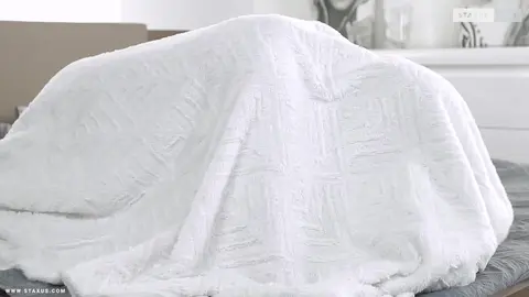 Aventures de minets Scene 2 - Tyler Ross, Ron Negba