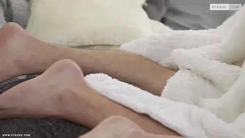 Aventures de minets Scene 2 - Tyler Ross, Ron Negba