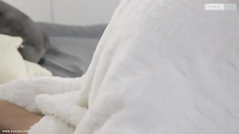 Aventures de minets Scene 2 - Tyler Ross, Ron Negba