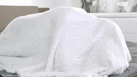 Aventures de minets Scene 2 - Tyler Ross, Ron Negba