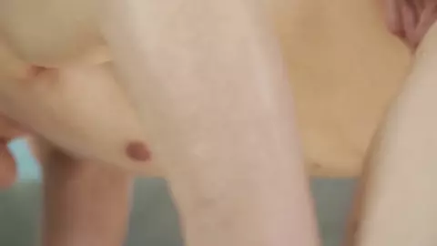 Lapins de Pâques 2019 - Rob Bisset, Lior Hod