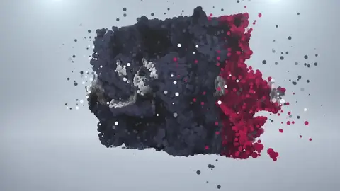 Jeunes minets débutants