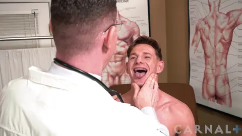 Les Examens du Dr Wolf Vol 1 – Visite de Transfert