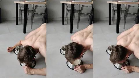 Je mange dans mon bol comme un bon pet