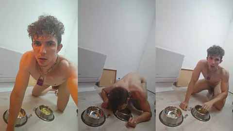 Manger dans Mon Bol de Chien Nu à Quatre Pattes