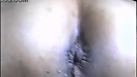 Meu cu quer seu pau duro socando fundo vou peidar gostoso
