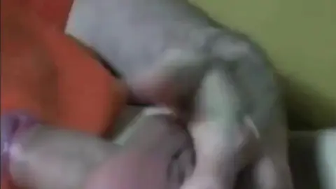 Un jeune footballeur excité se branle en tenue Adidas sur son lit au stage sportif