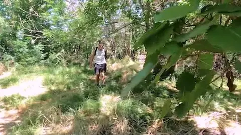 The Stranger in the Woods