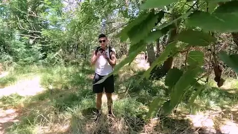 The Stranger in the Woods