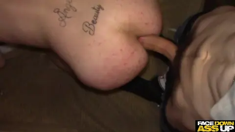 TR4SHED DUMPST3R