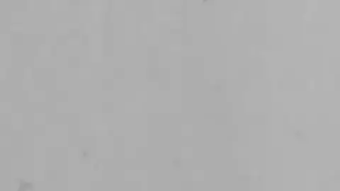 Case #1906063-41