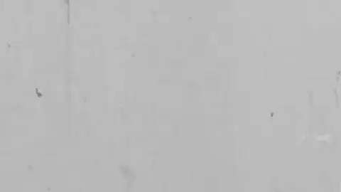 Case #1905062-34