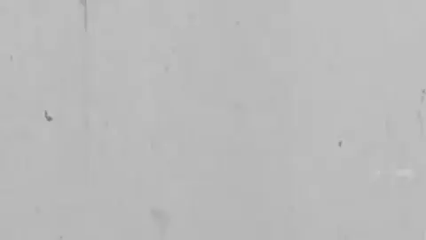 Case No. 1810045-15