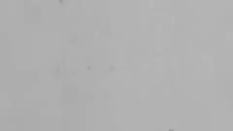 Case #1901052-64