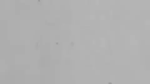 Dossier n° 1802019-33