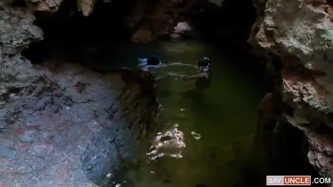 Wild Cancun 3