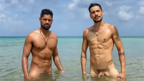 Coquins dans la forêt près de la plage