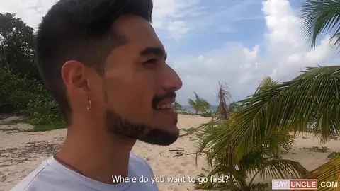 Coquins dans la forêt près de la plage