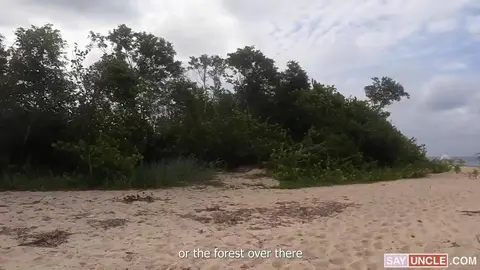 Coquins dans la forêt près de la plage