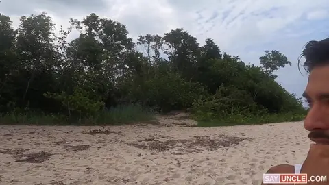 Coquins dans la forêt près de la plage