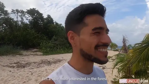 Coquins dans la forêt près de la plage
