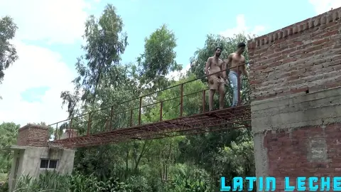 Numero 73
