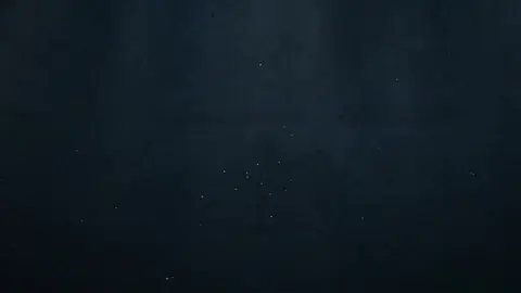 Une faciale bien crémeuse pour Yuri