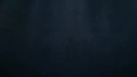 Jeune stagiaire baisé sur le bureau du patron