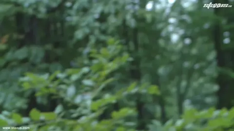 Cruising gay : un mec plus âgé démonte un jeune