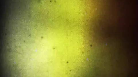 SCOUT MIKE Episode 2 - Sneaking Off