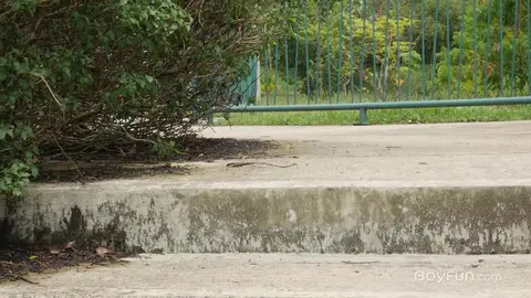 Jacob Buccella - Isaac Muller