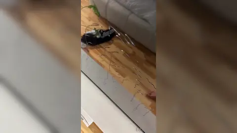 Mets-la dans ta bouche plutôt — 1