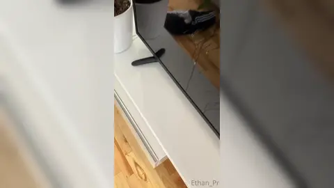 Put It in Your Mouth Instead — 1