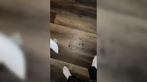 I Hope No One Saw This — 1