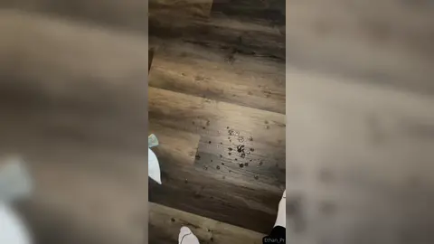 J'espère que personne n'a vu ça — 1