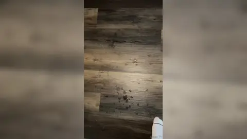 I Hope No One Saw This — 1