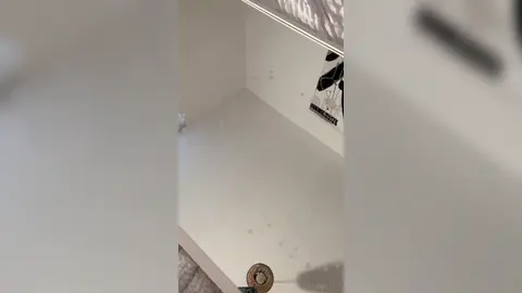 Cum Cannon — Post-Edge Detonation