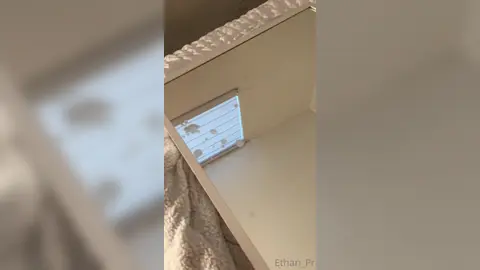 Canon à Foutre — Détonation Post-Edging