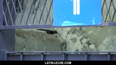 Latin leche Numero 12