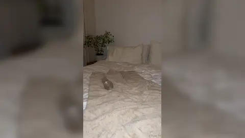 Parfois, faut que je baise — Ethan