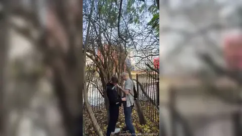 Kayden farcit Jake London — parc